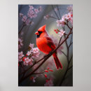 Recherche de oiseau cardinal rouge posters Cardinal du nord