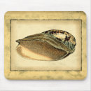 Suche nach seashells mousepads Muschel