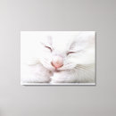 Suche nach junge leinwandbilder Unschuld