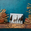 Suche nach wild fotoplatten Superstock