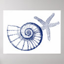 Suche nach nautilus poster Strand