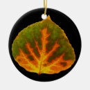 Suche nach rote äpfel ornamente Natur