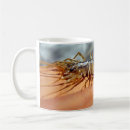 Recherche de antenne tasses Insecte
