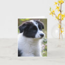 Suche nach tierfreunde karten Für sie