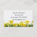 Recherche de jonquilles cartes visite Jaune