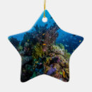 Suche nach korallenriffe ornamente Ozean