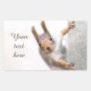 Recherche de curieux autocollants Drôle