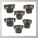 Recherche de race chien posters Dog