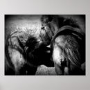 Suche nach filly poster Stute