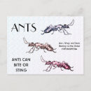 Recherche de ant vœux cartes Insecte