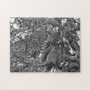 Suche nach owl alle puzzle Wildlife