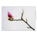 Recherche de bourgeons de magnolia Jardin