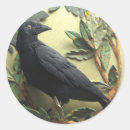 Recherche de crow autocollants Nature