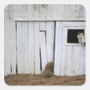 Suche nach landwirtschaft aufkleber Scheune