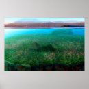 Suche nach fantasie insel poster Märchen