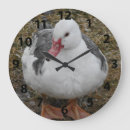 Recherche de volaille horloges Oiseau