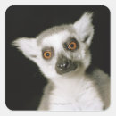Recherche de oeil animal autocollants Horizontal