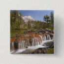 Suche nach felem buttons Nationalpark