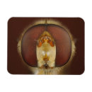Recherche de composition rectangulaires magnets Animaux