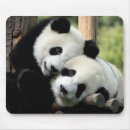 Recherche de panda tapis souris Ours
