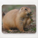 Suche nach präriehund mousepads Natur