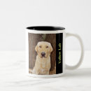 Recherche de labrador jaune tasses Chasse