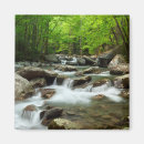 Recherche de foliage magnets Forest