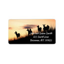 Recherche de colline photographie Cerf