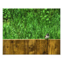 Recherche de moineau posters Drôle