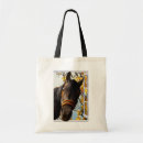 Suche nach pferde pferde tragetaschen Haustier