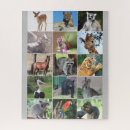 Suche nach ein tier puzzle Hasen