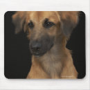 Suche nach nasen mousepads Natur