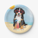 Suche nach bernese teller Welpe