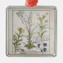 Suche nach heilend ornamente Testard