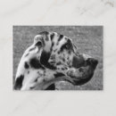 Suche nach great dane hund visitenkarten Haustier