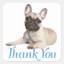 Suche nach bulldog aufkleber Frenchie