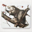 Suche nach opossums mousepads Vintag