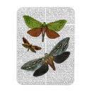 Suche nach schmetterling magnete Tiere