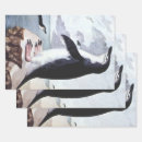 Suche nach die antarktis geschenkpapier Pinguine