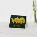 Recherche de jonquille vœux cartes Pour tous