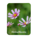 Suche nach magneten kosmos magnete Blume