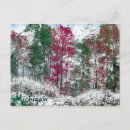 Recherche de scène neige cartes postales Paysages