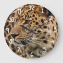 Suche nach leopardstelle Leopardpelz