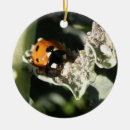 Suche nach kreter ornamente Tiere