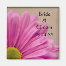 Recherche de gerber rose magnets Pour tous