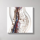 Recherche de immunologique posters Illustrations biomédicales