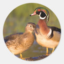 Suche nach marions aufkleber Weiblich