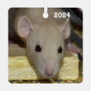 Suche nach ratte ornamente Niedlich