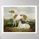 Suche nach windhunde poster Katzen