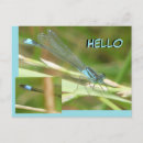 Recherche de insectes mignons cartes postales Toute personne
